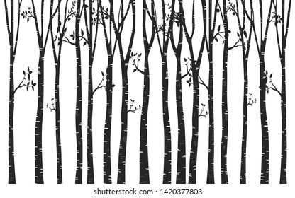 Tree Birch design Background with birch forest vector svg
