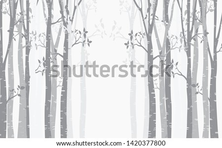 Tree Birch design Background with birch forest vector