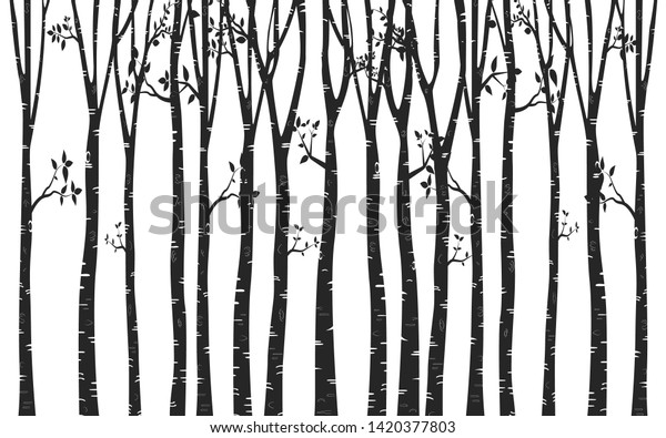 Tree Birch design Background with birch forest vector - Stock Image ...