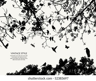 tree and bird