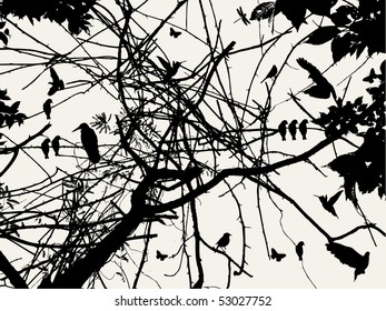 tree and bird