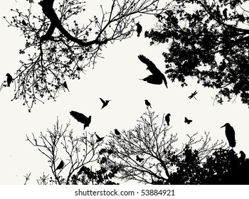 tree and bird