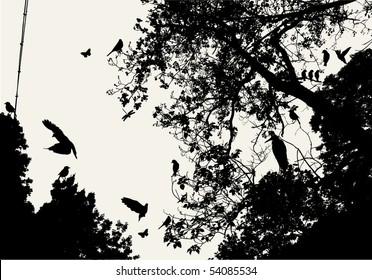 tree and bird