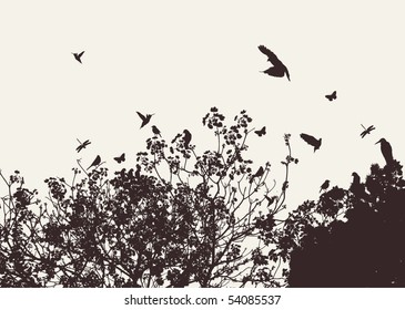 tree and bird