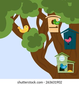 tree, bird houses and bird