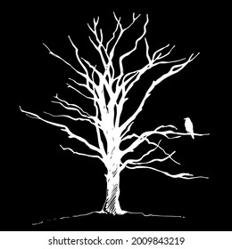Tree and bird raven silhouette, hand drawn vector sketch, isolated on black background