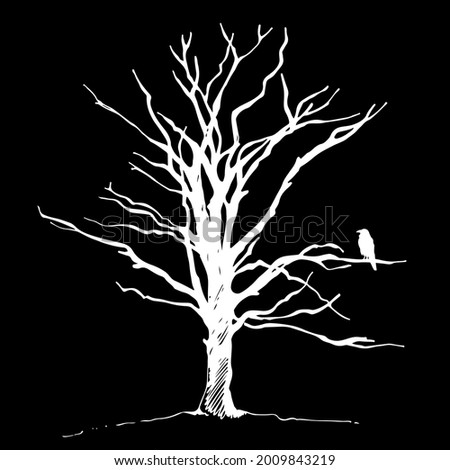 Tree and bird raven silhouette, hand drawn vector sketch, isolated on black background