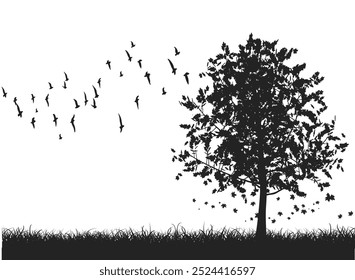tree and bird shadow black and white