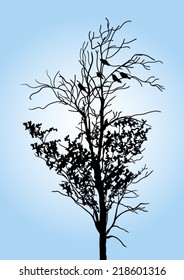 The Tree and Birds Silhouette