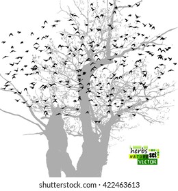 Tree with birds. Vector