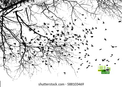 tree with birds. Vector