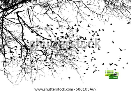 tree with birds. Vector
