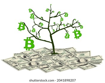 Tree with bitcoins stands on pile of paper dollars isolated on white. Concept of converting dollars into bitcoins. Vector illustration.