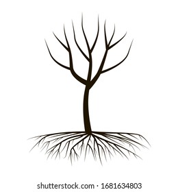 A tree of black color with branches without foliage, with a magnificent root. Vector illustration. Stock Photo.
