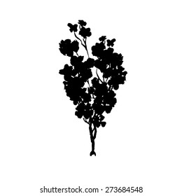 Tree black silhouette. Isolated on white. Vector illustration.