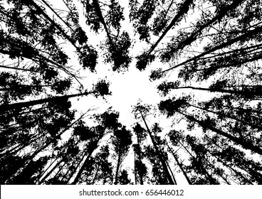 Tree black silhouette on white background. A dry tree with withered leaves. Vector realistic icon.