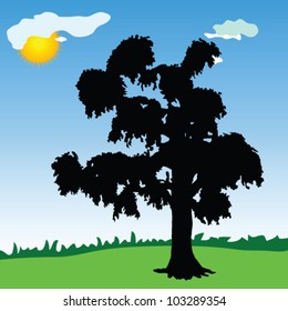 tree black silhouette in the park with blue sky background