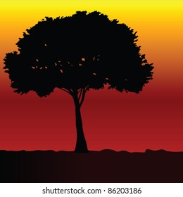 tree black vector silhouette on color sunset background
