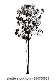 Tree blossom silhouette : vector