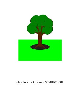 The tree is blossoming among green meadows