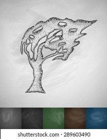 tree blowing in the wind icon. Hand drawn vector illustration. Chalkboard Design