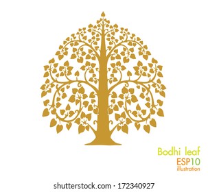 Tree Bodhi Leaf