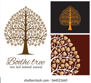 tree bodhi leaf