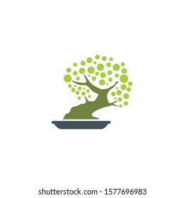 tree bonsai icon symbol logo