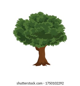 Tree Botanical Cartoon Vector Illustration