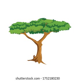 Ilustración de vectores de dibujos animados botánicos de árbol