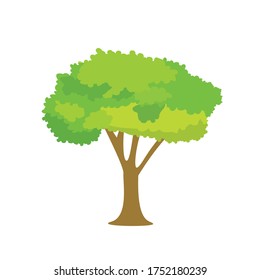 Tree Botanical Cartoon Vector Illustration