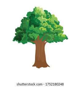 Ilustración de vectores de dibujos animados botánicos de árbol