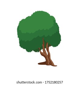 Ilustración de vectores de dibujos animados botánicos de árbol