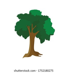 Tree Botanical Cartoon Vector Illustration