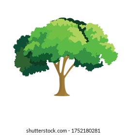 Tree Botanical Cartoon Vector Illustration