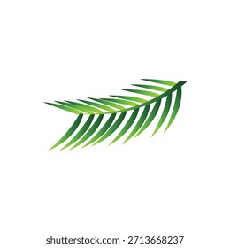 Tree Bough, Knur, Knurr Design, Lota, pata