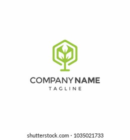 Tree Box Tree Hexagon Logo Design