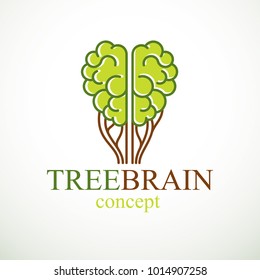 Tree Brain concept, the wisdom of nature, intelligent evolution. Human anatomical brain in a shape of tree with green leaves. Brain feeding with diet products. Vector logo or icon design.