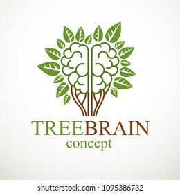 Tree Brain concept, the wisdom of nature, intelligent evolution. Human anatomical brain in a shape of tree with green leaves. Brain feeding with diet products. Vector logo or icon design.