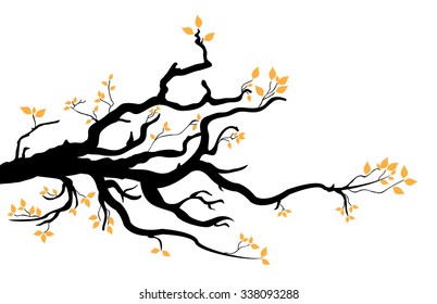 tree branch