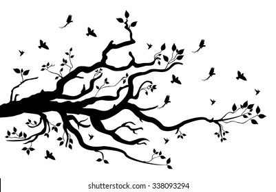 tree branch