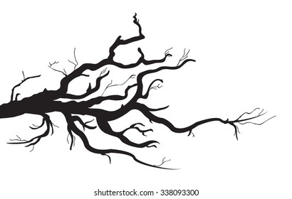 tree branch