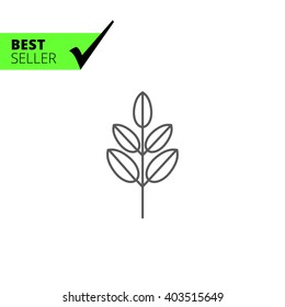 Tree branch