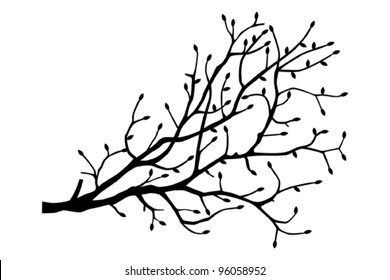 Tree branch