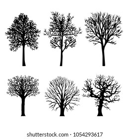 Tree Branch Arid Black Silhouettes Nature Forest Vector Illustration