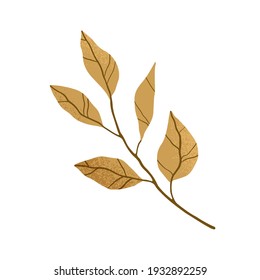 Tree branch with autumn brown leaves. Hand-drawn twig of fall foliage plant. Botanical element isolated on white background. Colored flat vector illustration