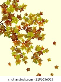Tree branch with autumn leaves.Colored vector illustration with bright autumn leaves on a tree.