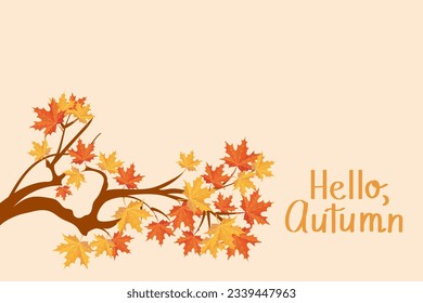 Tree branch with autumn maple leaves. Autumn background. Hello, Autumn. Autumn illustration, vector