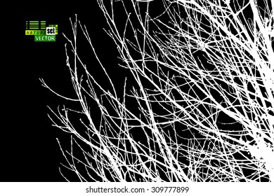 tree branch background. Vector