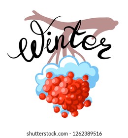 Tree branch with berries of a mountain ash and snow. Inscription Winter. Vector drawing illustration